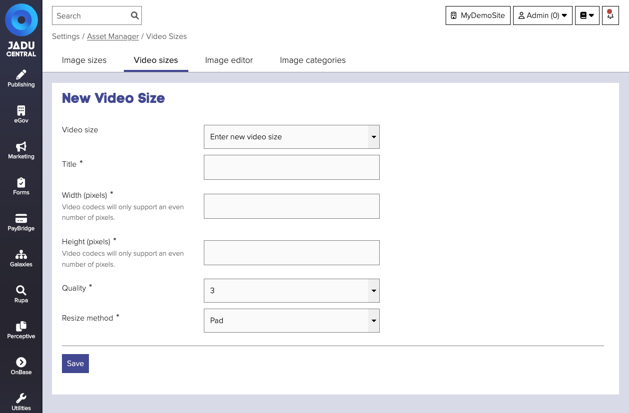 Video sizes form